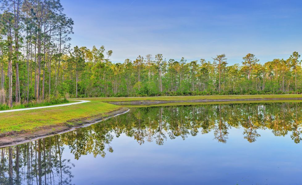 Natural surroundings and green spaces near Woodhaven in Port Orange, FL (Image 43). Natural surroundings and green spaces near Woodhaven in Port Orange, FL (Image 43).