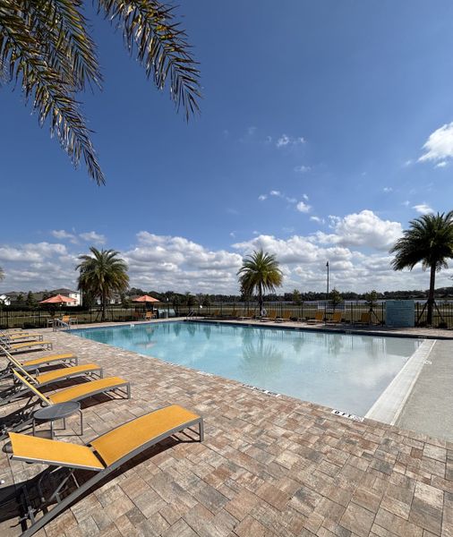 A resort-style pool with lounge seating, palm trees, and beautiful views in Avian Pointe Townhomes by D.R. Horton (Apopka, FL).