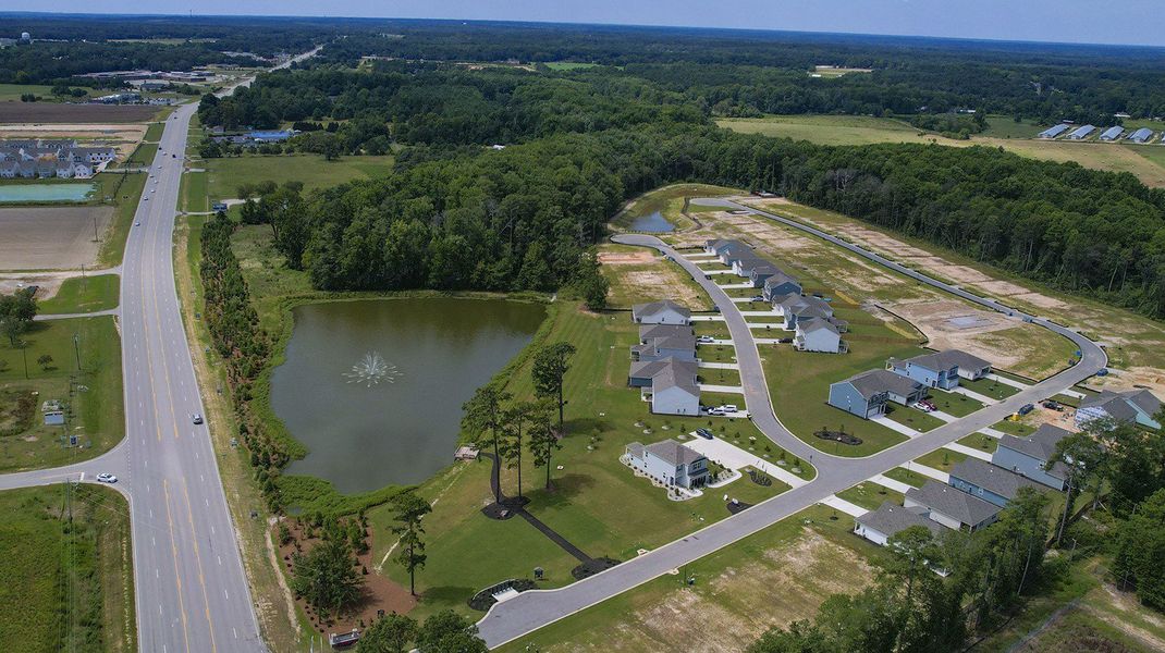 Image 42 of the Sease's Pond community in Gilbert, SC.