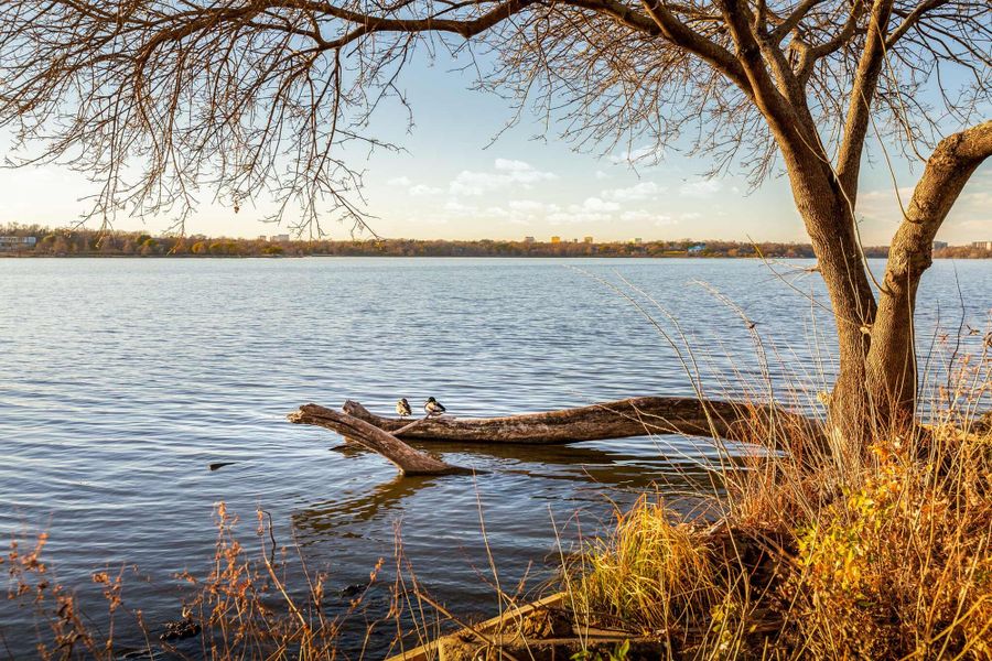 Image 19 of the The Grove at White Rock Hills – Gardens community in Dallas, TX.