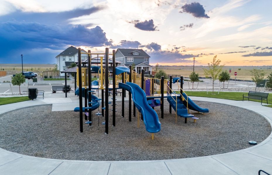 Community Playground