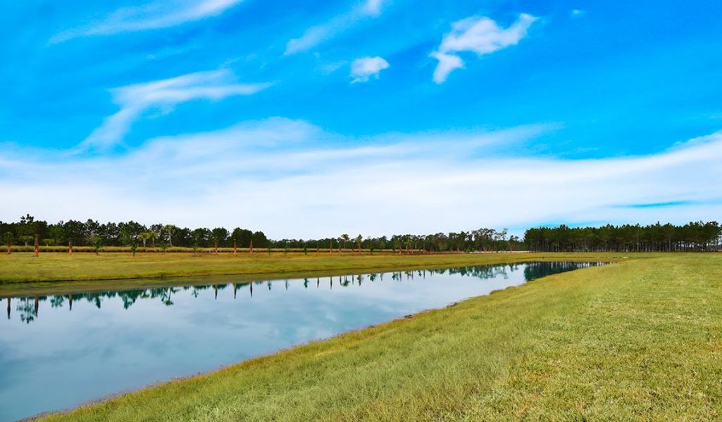 Elm Creek Pond