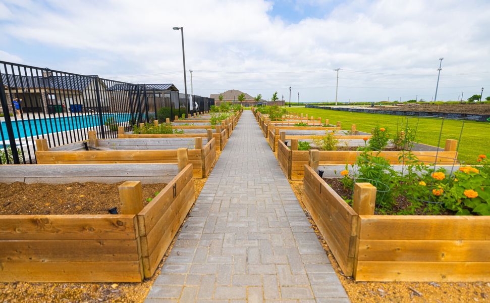 Community Garden