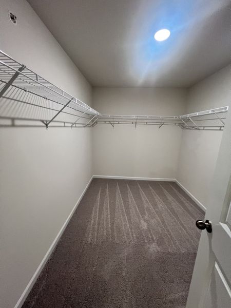 A spacious walk-in closet with carpeted flooring and wire shelving, illuminated by recessed lighting.
