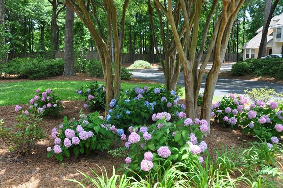 Natural surroundings and green spaces near Tributary III at the Park at River's Edge in North Charleston, SC (Image 11).