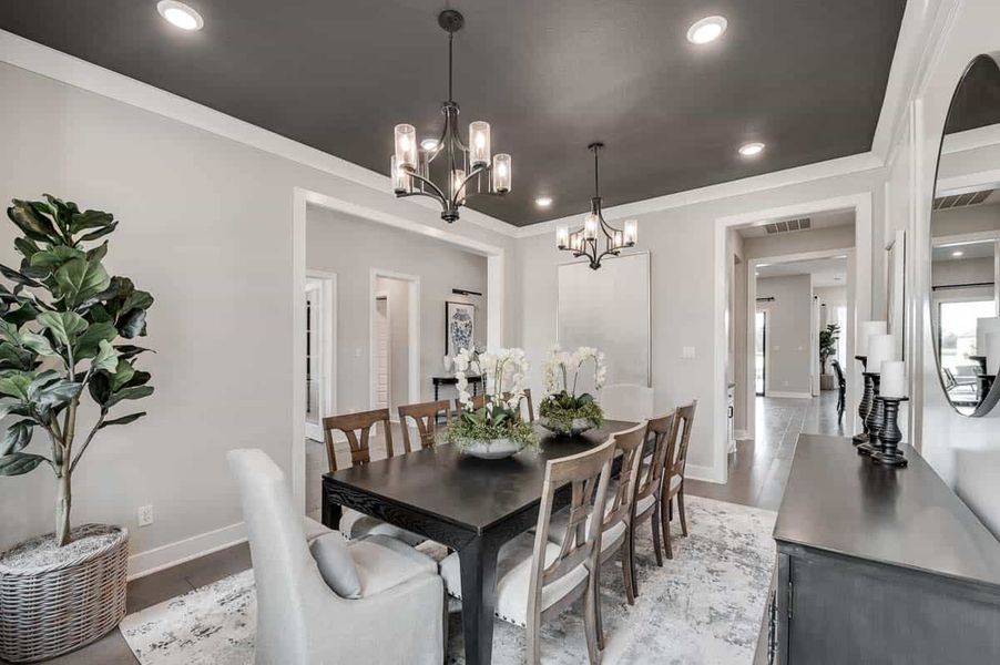 Image 12 of the Fulshear Run 1/2 Acre community in Fulshear, TX.