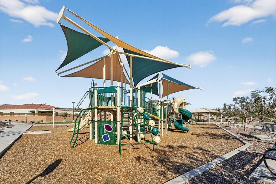 Community amenity available to residents of Combs Ranch Landmark in San Tan Valley (Image 22).