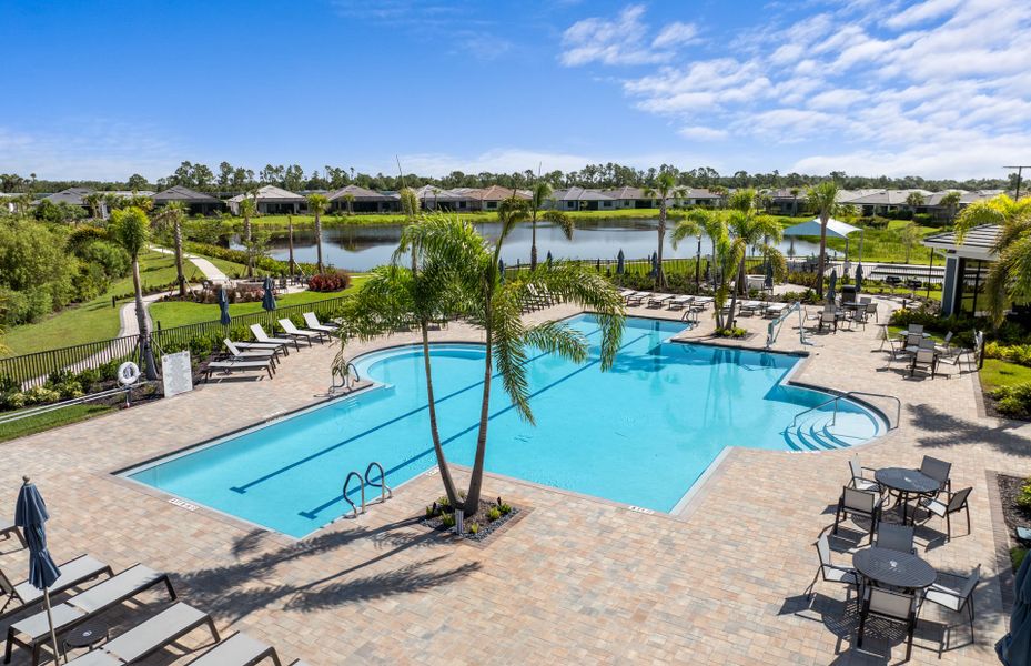 Resort Pool Resort Pool