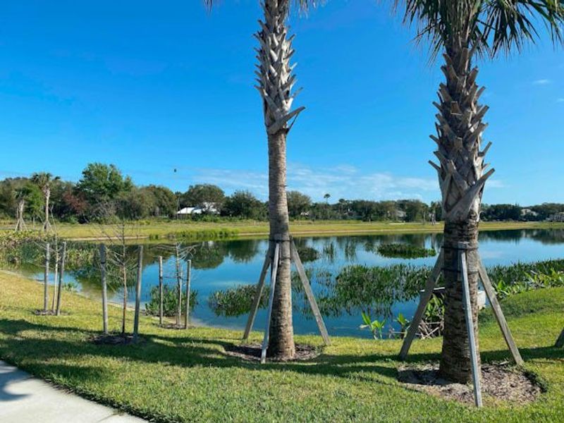 Natural surroundings and green spaces near The Strand in Vero Beach, FL (Image 107).