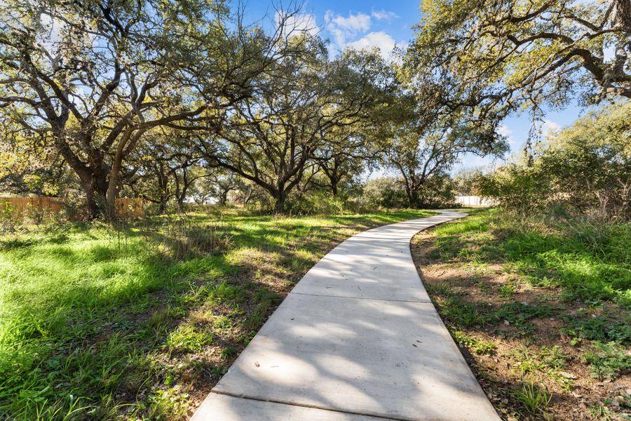 Walking Trails Walking Trails