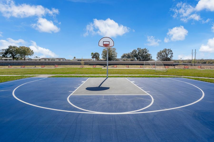 Sports Court