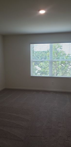 A serene bedroom with plush carpet, soft lighting, and a large window with blinds offering lush green views. A serene bedroom with plush carpet, soft lighting, and a large window with blinds offering lush green views.