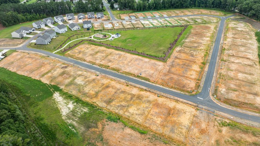 Site preparation and early development at The Manors at Winston Pointe in Clayton, NC (Image 22).