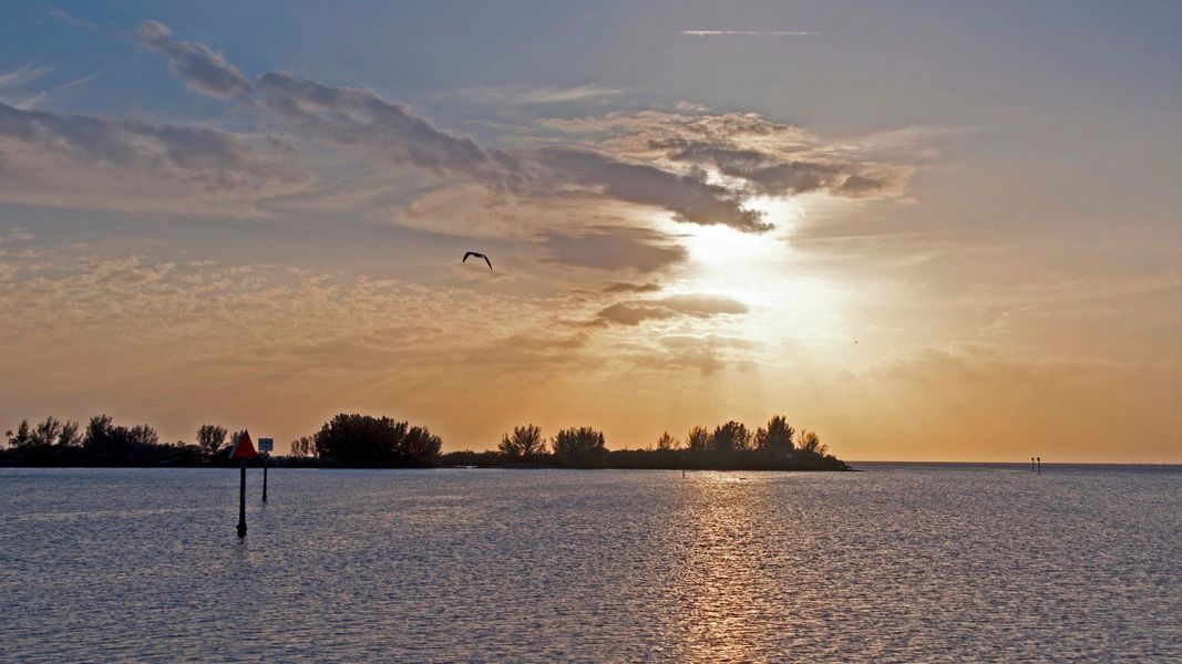 Natural surroundings and green spaces near Beacon Park in Hudson, FL (Image 10).
