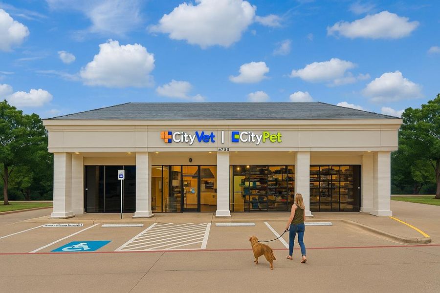 Front exterior of a home in the Addison Grove community, located in Addison, TX (Image 16). Front exterior of a home in the Addison Grove community, located in Addison, TX (Image 16).