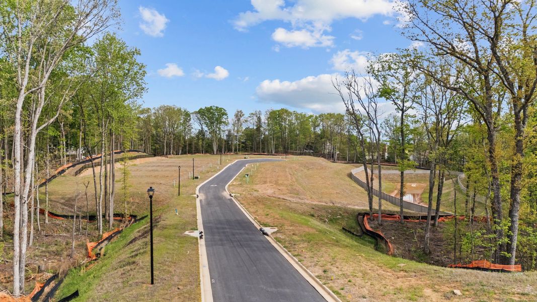 Natural surroundings and green spaces near Falls Creek in Flowery Branch, GA (Image 10).