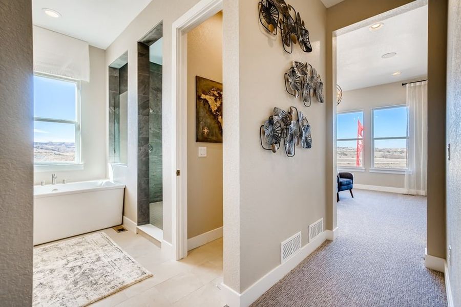 Image 42 of the Timberline Destination Collection community in Castle Pines, CO. Image 42 of the Timberline Destination Collection community in Castle Pines, CO.