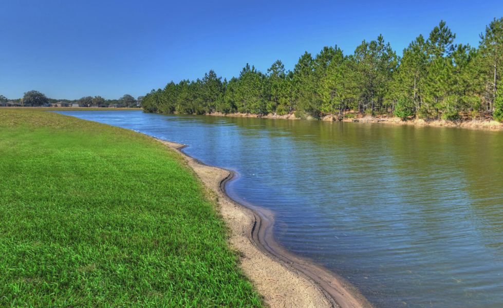 Natural surroundings and green spaces near Tidewater in Jacksonville, FL (Image 56). Natural surroundings and green spaces near Tidewater in Jacksonville, FL (Image 56).
