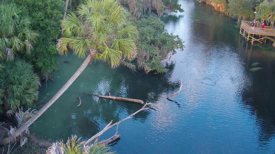 Blue Springs State Park is one of the area's most popular natural highlights for its crystal clear waters and manatee observation