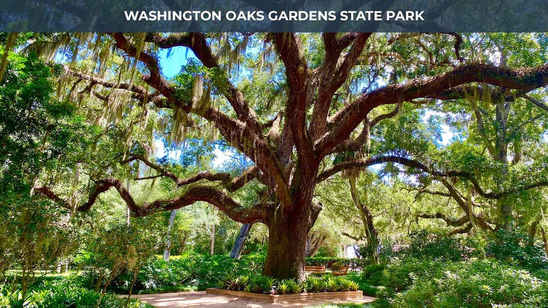 Image 18 of the Palm Coast Homesites community in Palm Coast, FL.