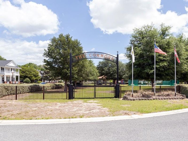 Homes in this desirable neighborhood are centered around The Commons, a private community park.