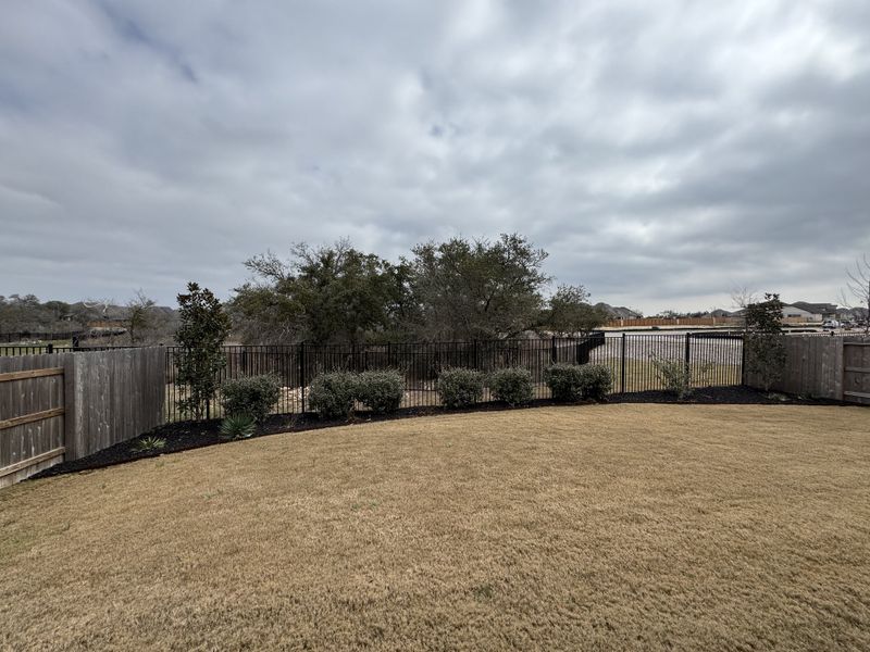 A serene backyard with a wooden and metal fence, lush landscaping, located in Meyer Ranch by David Weekley Homes (New Braunfels, TX).
