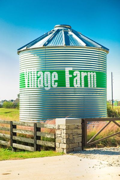 Harvest Green Image 27 Harvest Green Image 27