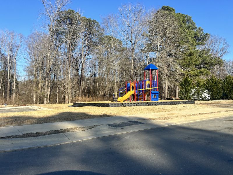 A vibrant playground surrounded by nature, offering a fun outdoor space for families in Sherri Downs by Lennar (Angier, NC).