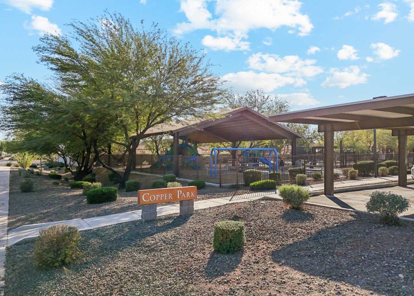 A fully shaded & covered park in surprise AZ at north copper canyon by century communities with new homes for sale. A fully shaded & covered park in surprise AZ at north copper canyon by century communities with new homes for sale.