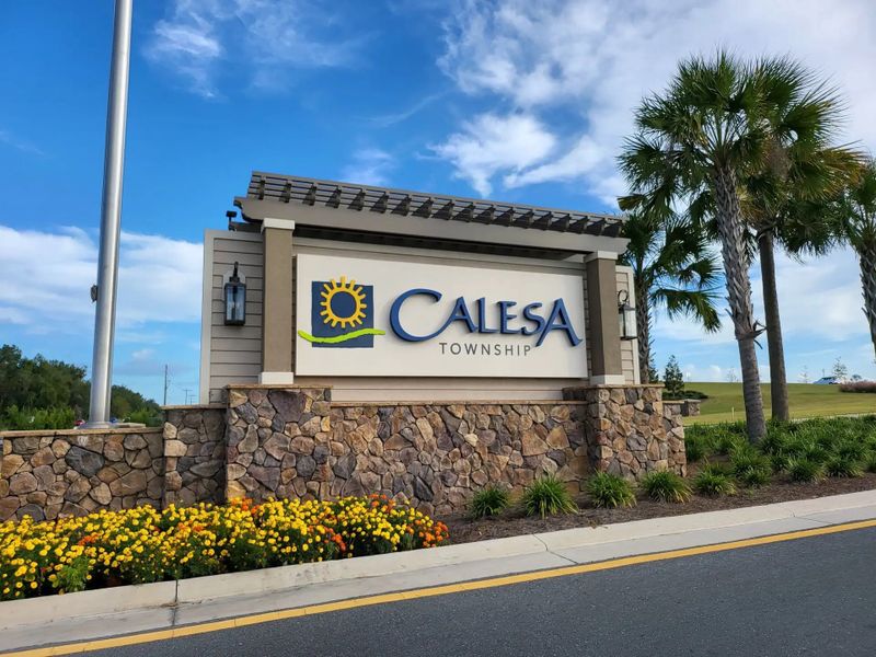 Main entrance to the Calesa Township master-planned community in Ocala, FL, featuring its landmark signage (Image 7).