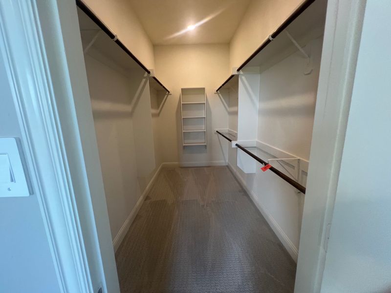 A spacious walk-in closet featuring ample shelving and hanging space with soft carpet flooring.