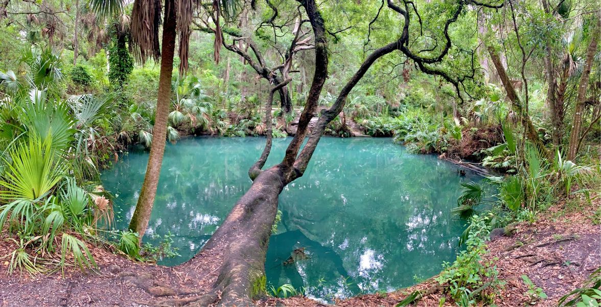 Green Springs