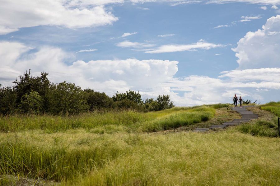 Natural surroundings and green spaces near Walsh in Aledo, TX (Image 18).