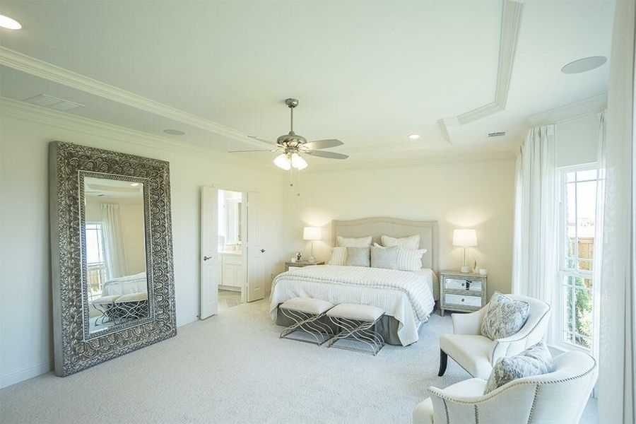 Image 15 of the Spring View Estates community in Frisco, TX.