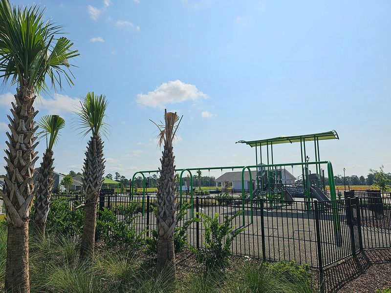 Community amenity available to residents of Ridgefield in Conway (Image 28).