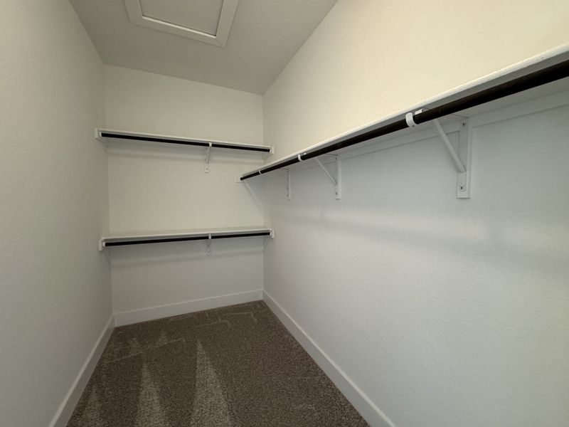 A spacious walk-in closet with carpeted floors and ample shelving for organized storage.