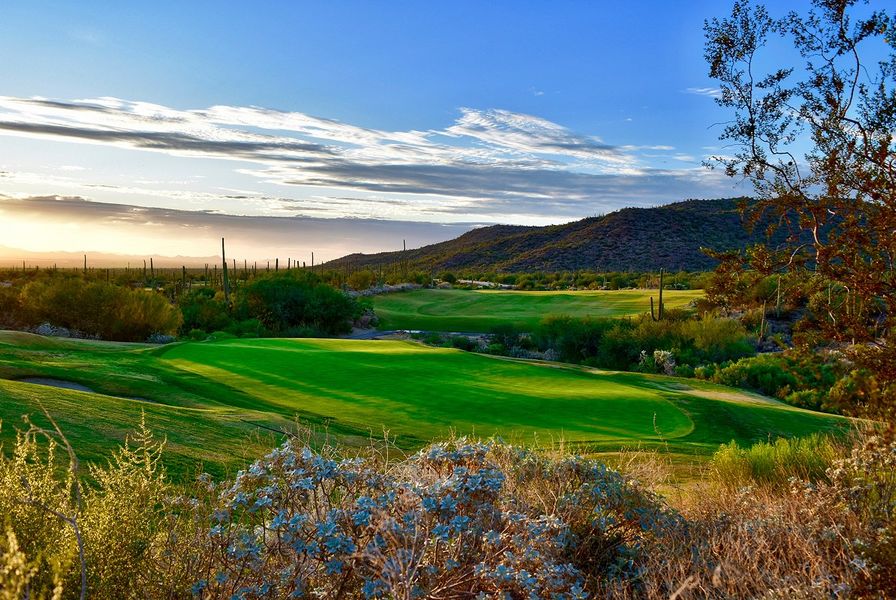 N Pic Sports Golf Desert Course