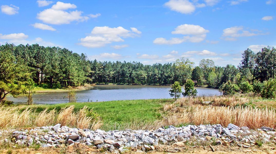 Image 11 of the Tralee community in Smithfield, NC. Image 11 of the Tralee community in Smithfield, NC.