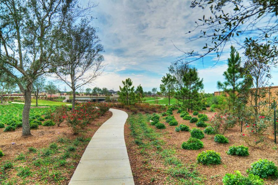 Community amenity available to residents of Meridiana in Manvel (Image 16).