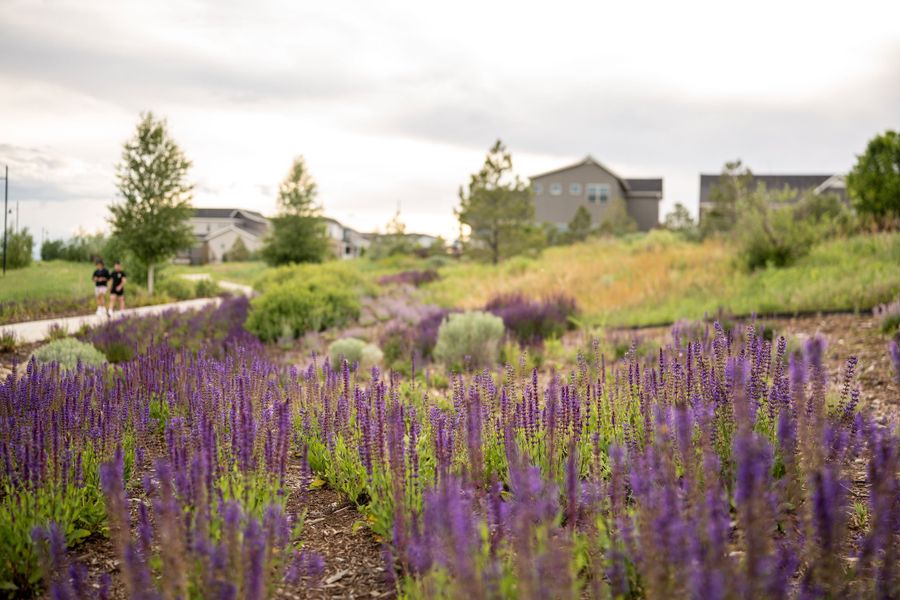 Natural surroundings and green spaces near Barefoot in Firestone, CO (Image 23). Natural surroundings and green spaces near Barefoot in Firestone, CO (Image 23).