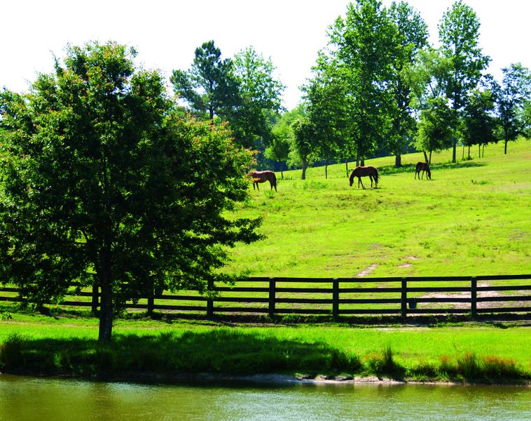 Image 26 of the The Abbey at Trolley Run Station community in Aiken, SC.