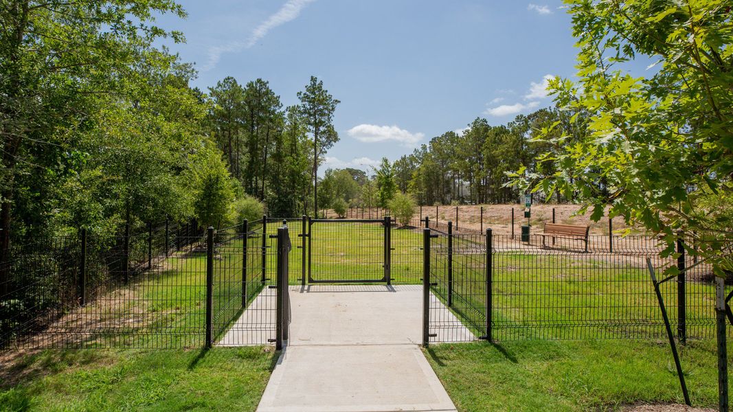 Hunter's Creek Dog Park