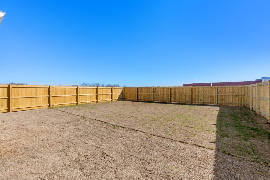 Benjamin - Back Yard