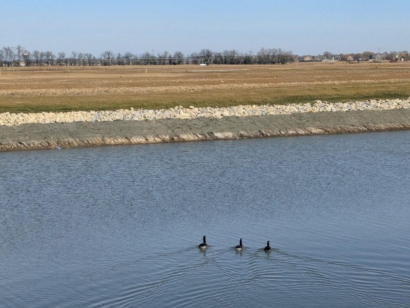 Natural surroundings and green spaces near Waterford Landing in Maize, KS (Image 3).