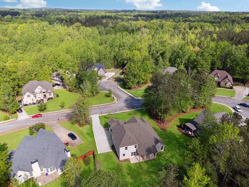 Hadi Builders - Whitestone