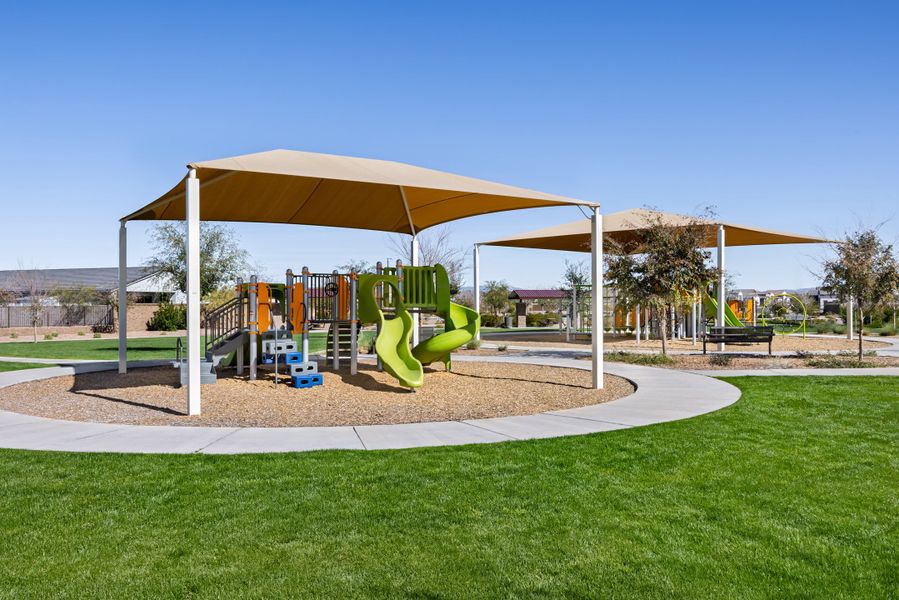 Community amenity available to residents of Willows at Bella Vista Farms in San Tan Valley (Image 12).