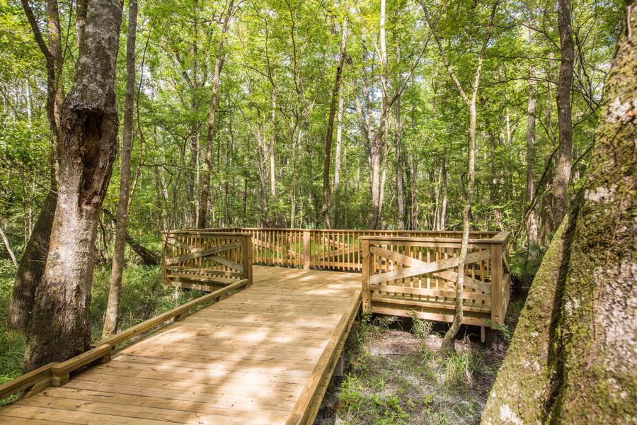 Natural surroundings and green spaces near Parkside at Shearwater in St. Augustine, FL (Image 22). Natural surroundings and green spaces near Parkside at Shearwater in St. Augustine, FL (Image 22).