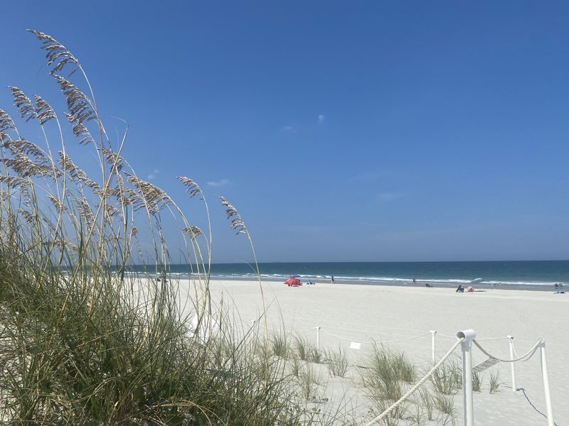 A beautiful beach scene with grassy dunes and a clear blue sky at Pelican View Townhomes by A-Team Petroleum Construction (Jacksonville Beach, FL). A beautiful beach scene with grassy dunes and a clear blue sky at Pelican View Townhomes by A-Team Petroleum Construction (Jacksonville Beach, FL).