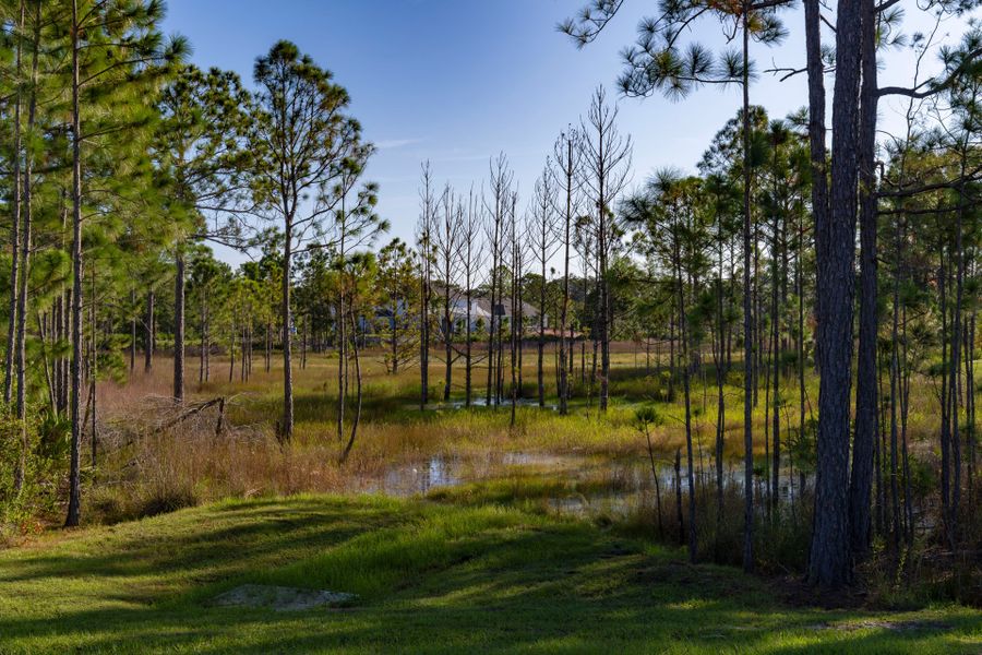 Trinity Gardens in DeLand, FL – New Home Community Surrounded by Nature Trinity Gardens in DeLand, FL – New Home Community Surrounded by Nature