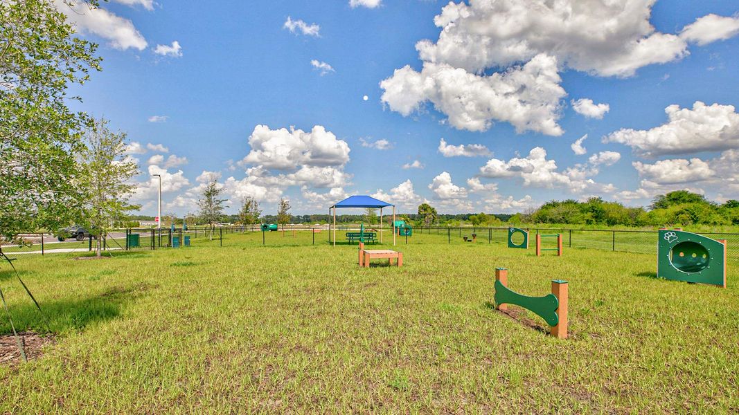 Community amenity available to residents of Rookery in Green Cove Springs (Image 23).